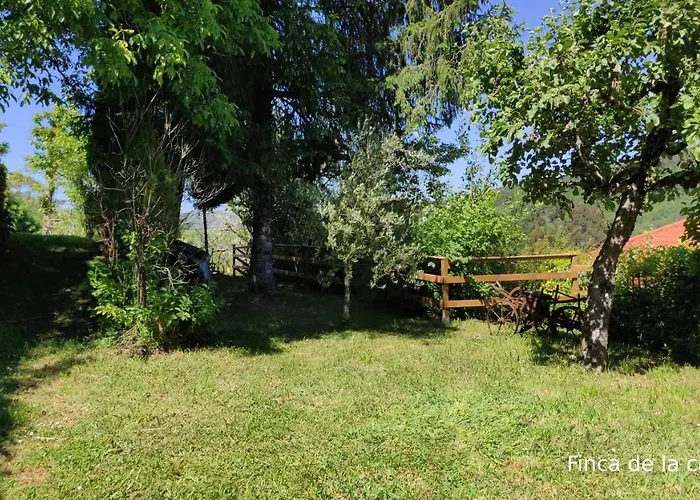 Dom wakacyjny Casa Do Medico